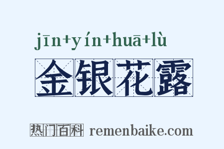 金银花露是什么意思的图片